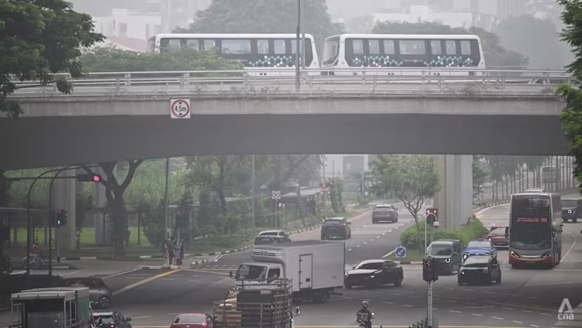 Singapur'da Hava Kirliliği Alarmı: Batı Bölgesinde PM2.5 Değerleri 207'ye Ulaştı