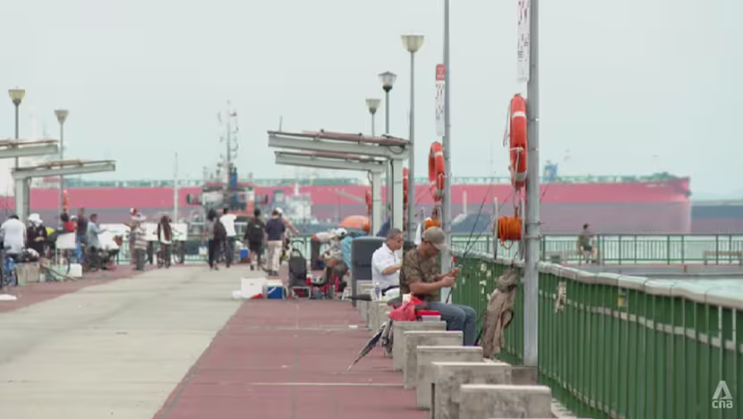 Singapur Kıyı Koruma Projesi Öncesinde Balık Türleri Kayıt Altına Alınıyor