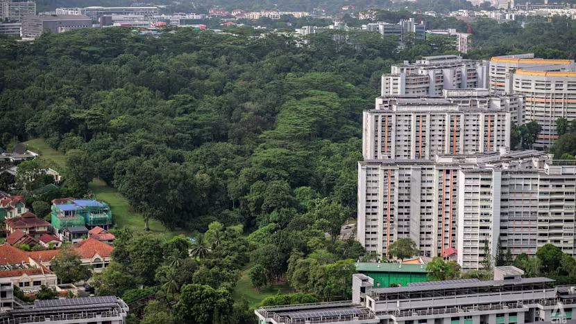 Singapur'da Orman mı Konut mu? Arazi Gelişimi Tartışması
