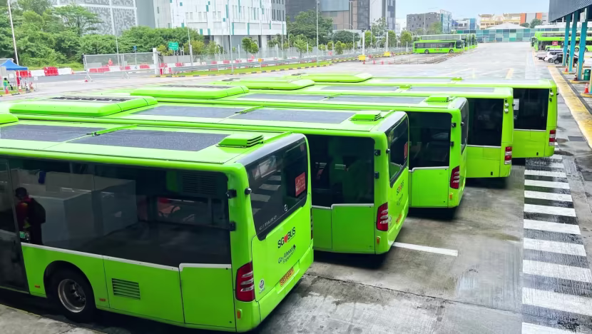 Singapur otobüslerinde yapay zeka ile trafik denetimi