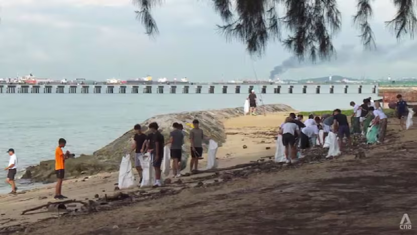 Singapur sahillerini artan gönüllü ordusu temizliyor