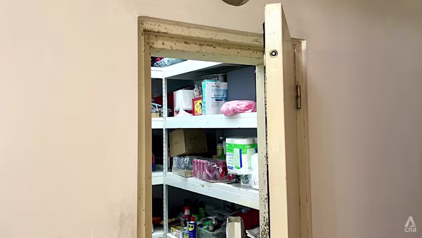 Singapur'dan Sığınak Ürünlerinde Yeni Denetim Yetkisi