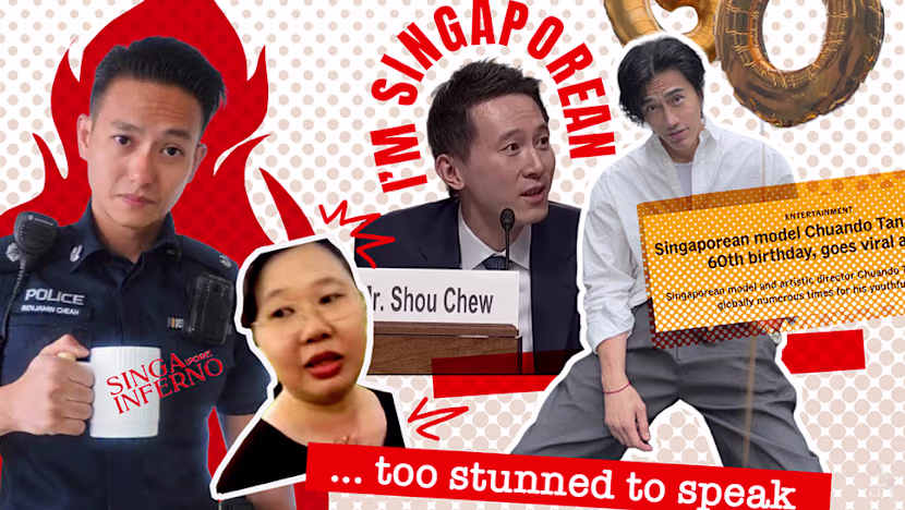 Singapur'un Viral Anları: 'Senatör, Ben Singapurluyum