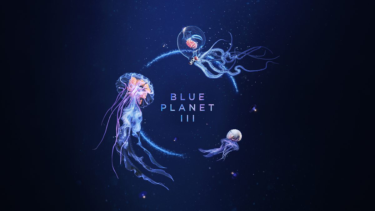 Sir David Attenborough'un Yeni Okyanus Belgeseli Geliyor