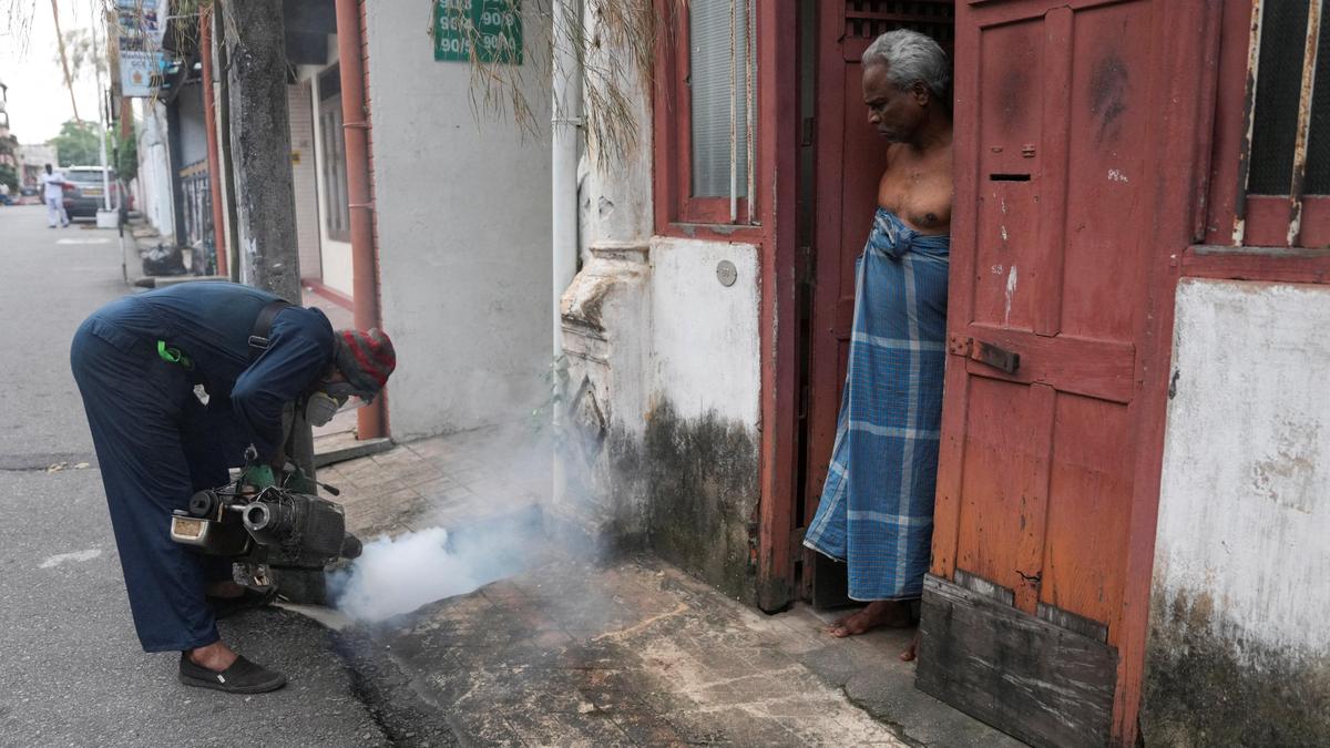 Sri Lanka'da dang humması salgını: Üniversiteler kapatıldı, eğitim çevrimiçi oldu