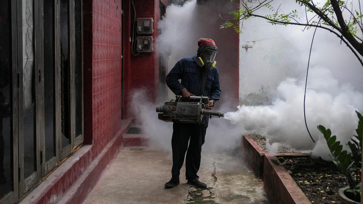 Sri Lanka’da dang humması krizi: Sağlık sektörü çöküyor