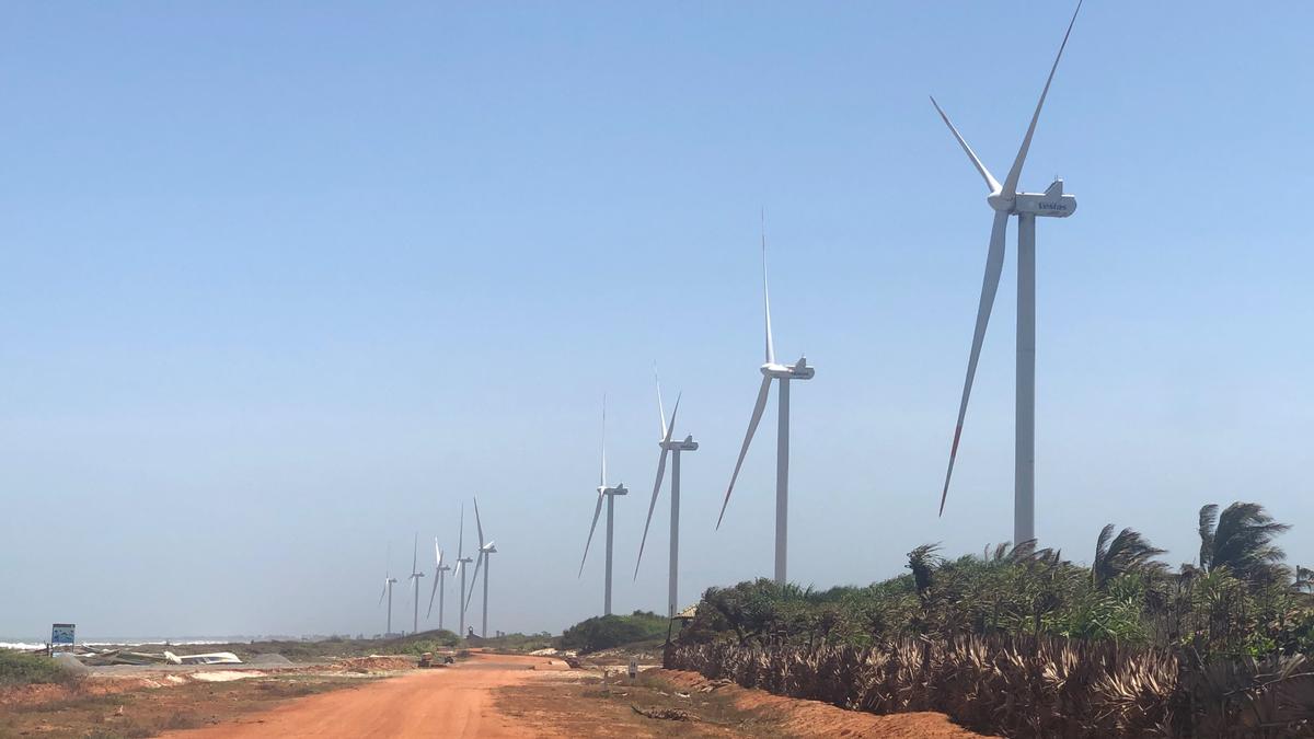 Sri Lanka'nın Yeşil Enerji Hamlesi Mannar'da Endişe Yarattı