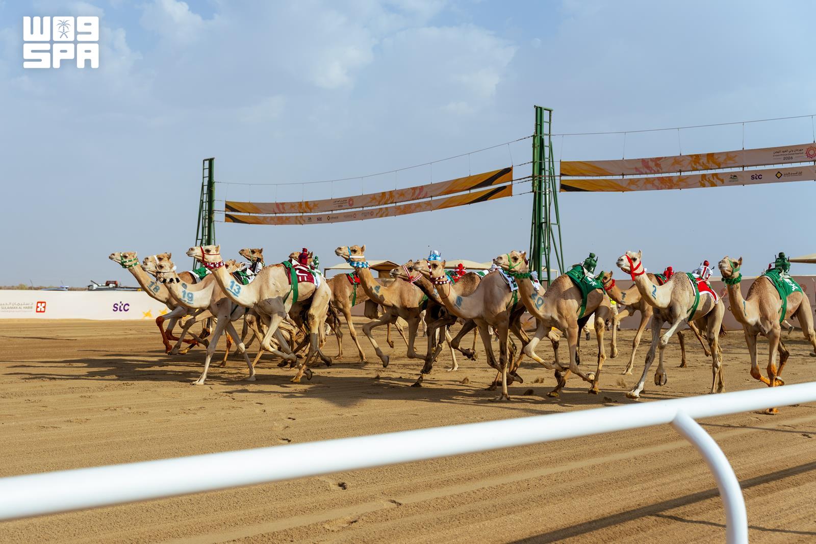 Suudi Arabistan'da 114 deve 131 milyon dolara yarıştı