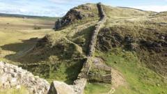 Sycamore Gap Kütüğü 3 Yıl Sonra Yeniden Sürgün Verdi