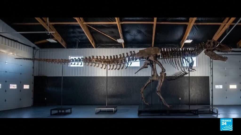T. rex Gus 50 milyon dolarla rekor kırdı