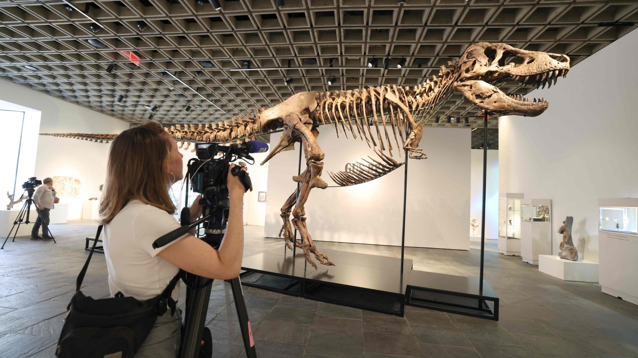 T-Rex 'Gus' 50,1 Milyon Dolara Satılarak Rekor Kırdı