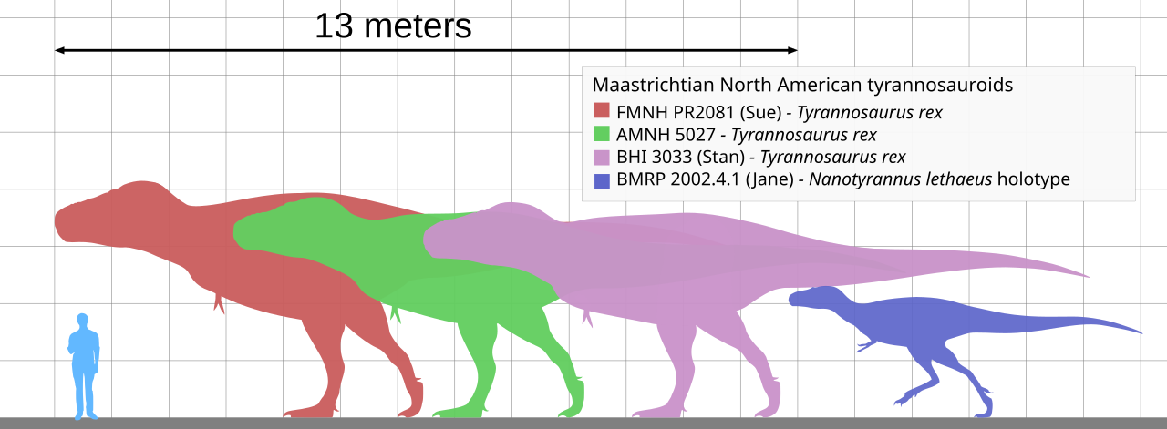 T. rex'in Sıcakkanlı Olduğu Ortaya Çıktı: İnsan Benzeri Vücut Sıcaklığı