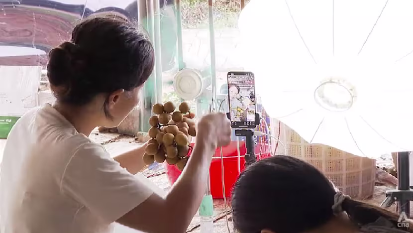 Tayfun riski artarken Çin'in Guangdong kentindeki çiftçiler geçimlerini korumak için uyum sağlıyor