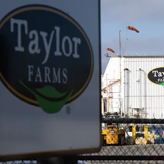 Taylor Farms'ta Salmonella Krizi: ABD'nin Dev Markaları Etkilendi