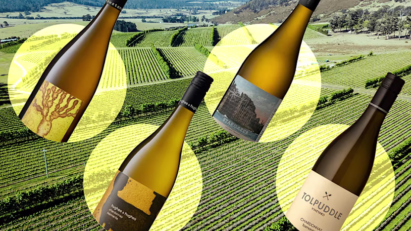 Tazmanya Şarabı Küresel Arenada Yükselişte: Chardonnay’ın Yeni Yıldızı