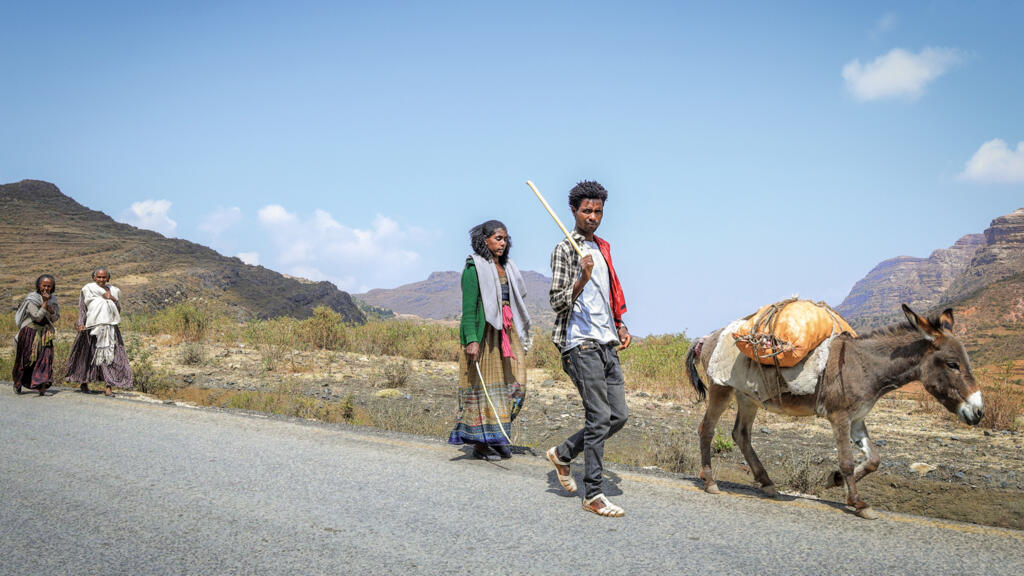 Tigray'da yeni çatışmalar: Yüzlerce Etiyopyalı Sudan'a kaçıyor