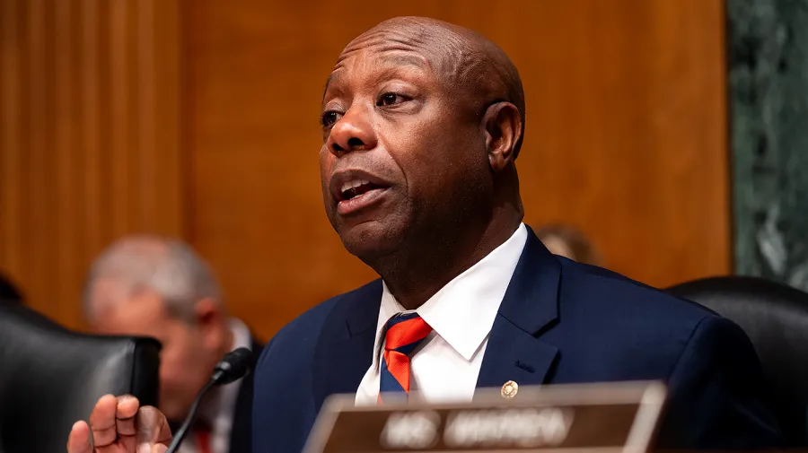 Tim Scott, Güney Karolina Senato koltuğu için Graham'ı destekliyor