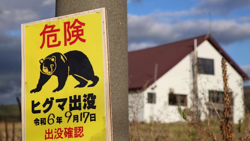 Tokyo banliyösünde ayı saldırılarına karşı biber gazı önlemi