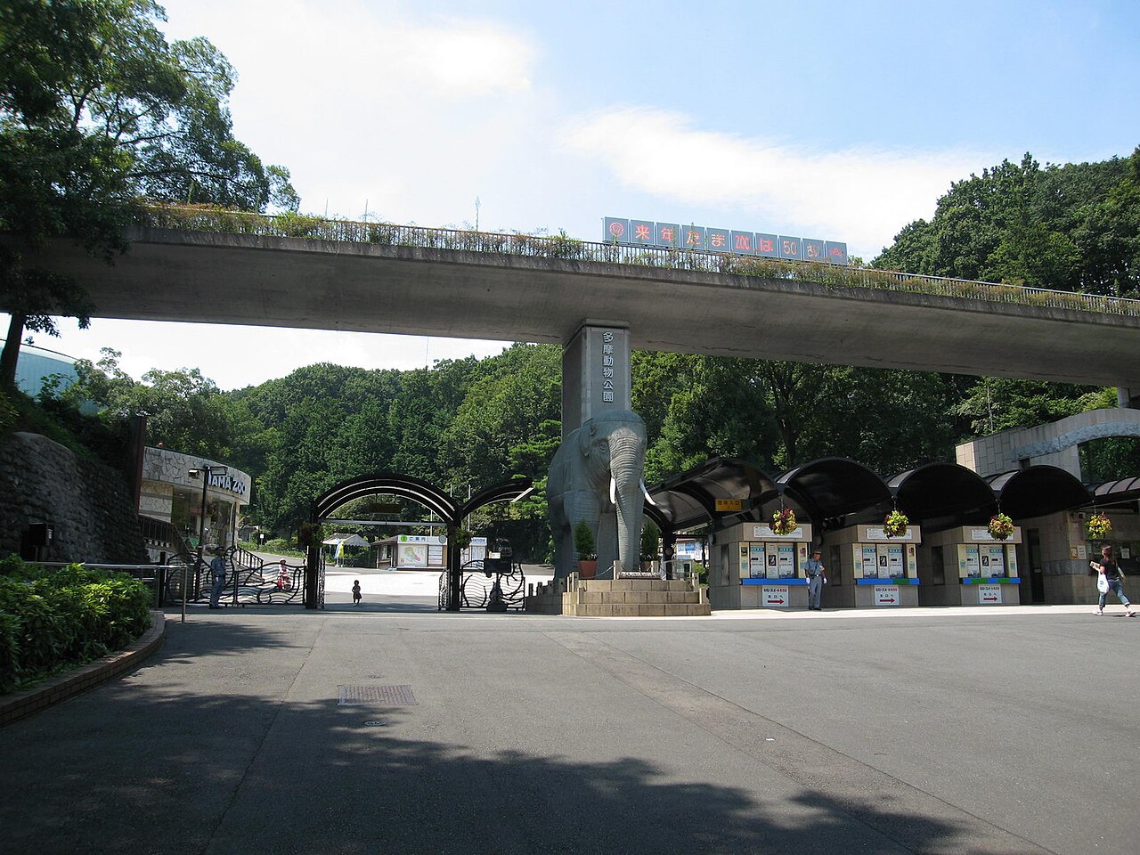 Tokyo Hayvanat Bahçesi'nde 3 Aslan Sıcak Çarpmasından Öldü