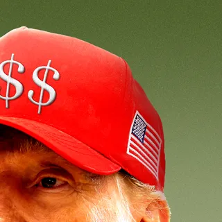 Trump'ın Kripto Kazançları Tartışma Yarattı