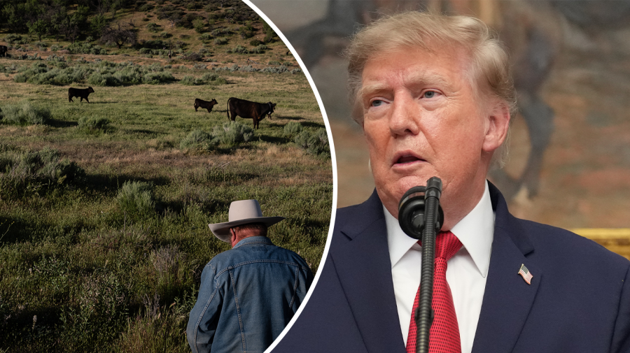 Trump'ın kıyma fiyatı müdahalesine Cumhuriyetçilerden tepki büyüyor