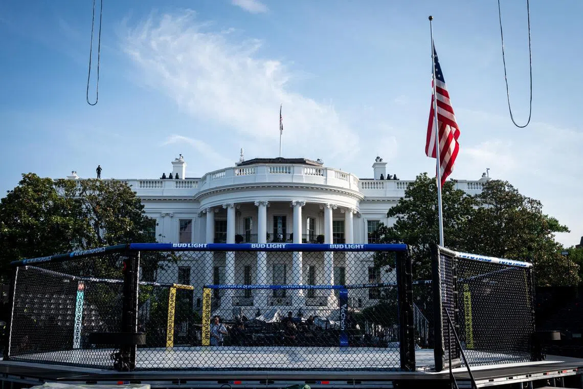 Trump, UFC'nin ana şirketinde küçük yatırımcı