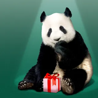 Trump ve Xi zirvesi panda diplomasisini canlandırdı
