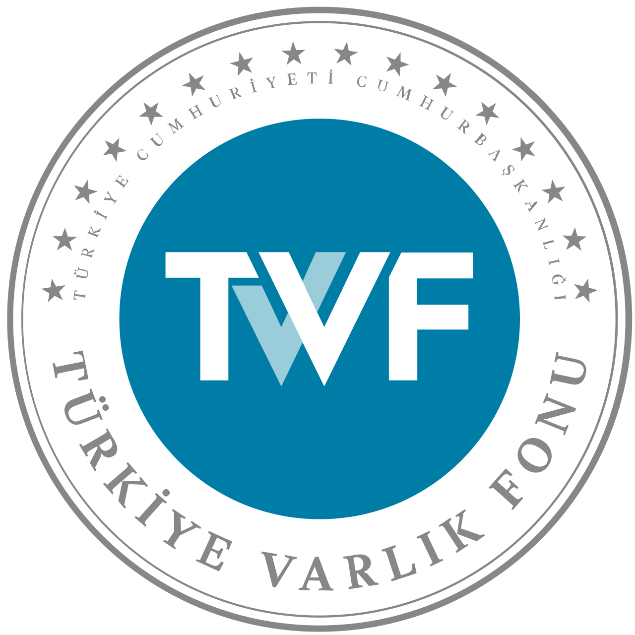 Türkiye Varlık Fonu, Piyasa Çöküşünü Durdurmak İçin Hisse Aldı