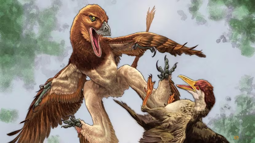 Tyrannosaurus Rex'in Akrabası Kuşları Tercih Ediyordu