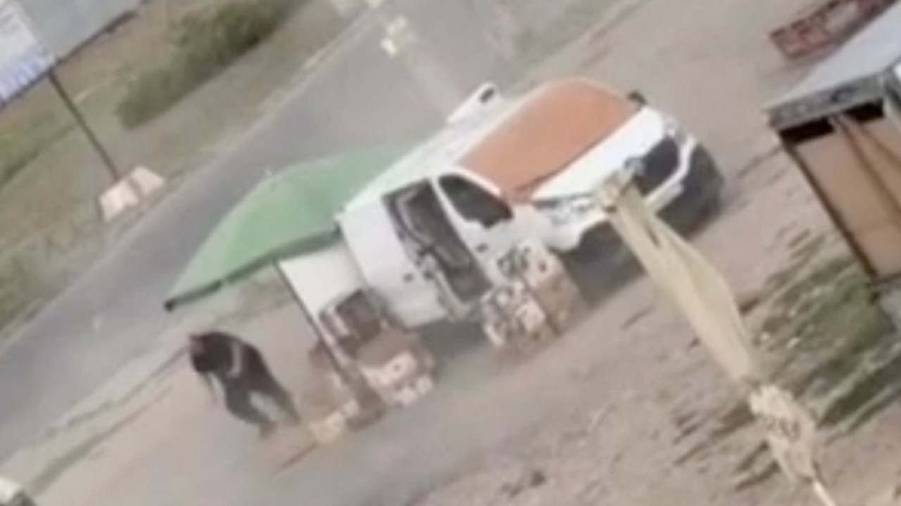 Ukrayna'dan Rusya'ya 'drone safari' suçlaması