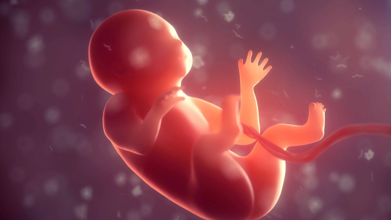 Uzayda Bebek Yapmak; Çin'in İlk Fields Madalyası: 7 Bilim Gelişmesi