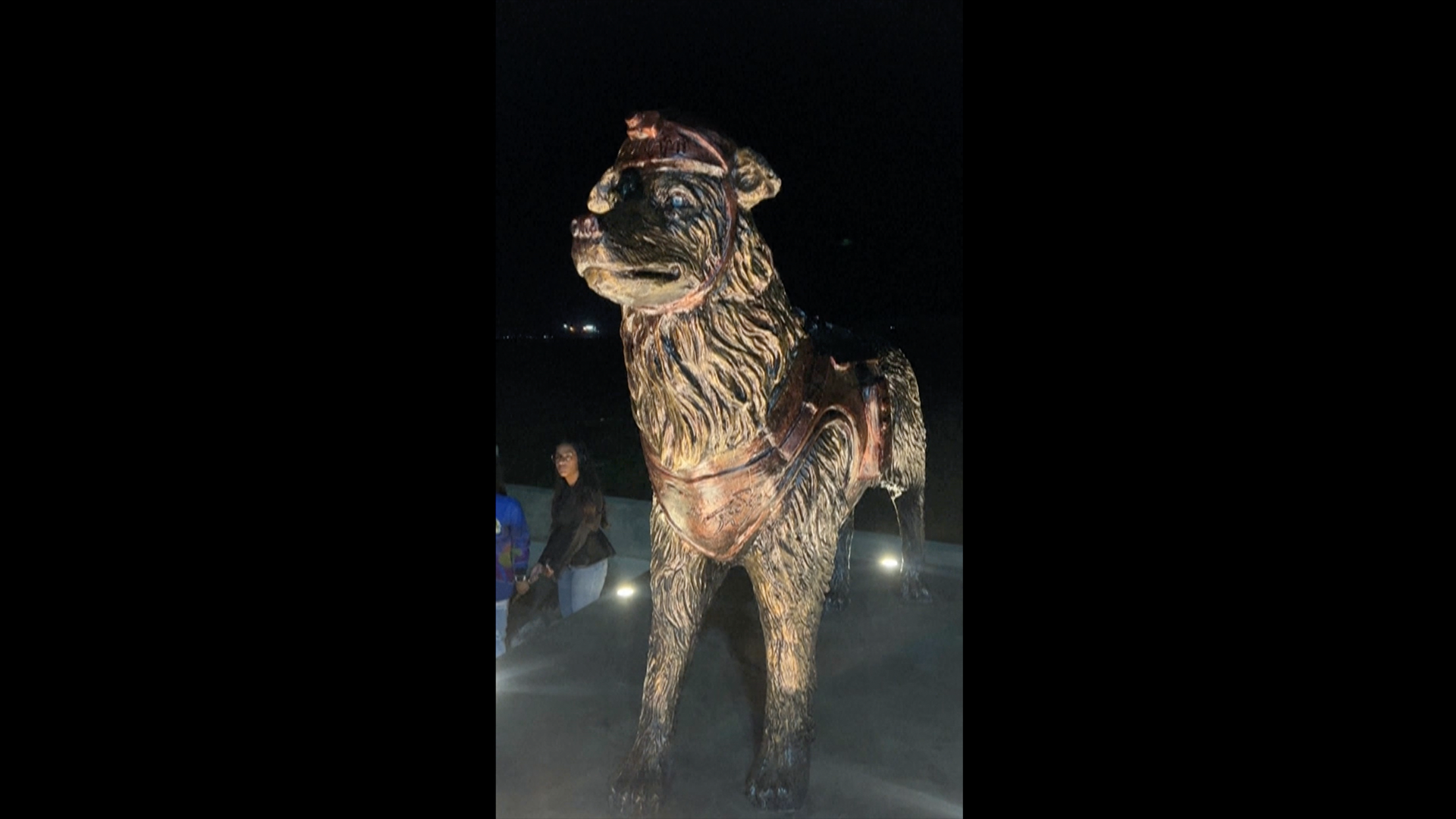 Venezuela'daki depremde görev yapan arama kurtarma köpeği Tsunami'ye heykel dikildi