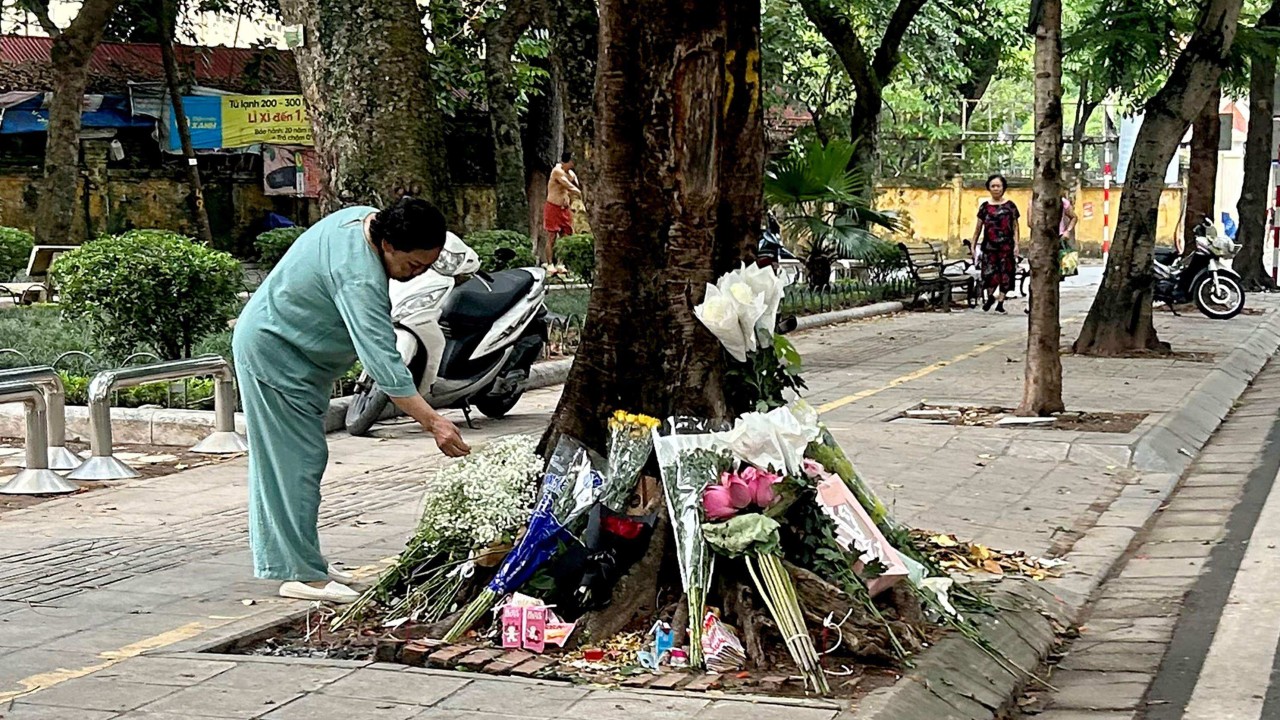 Vietnam'da eski yetkiliye genç kazasında ceza muafiyeti