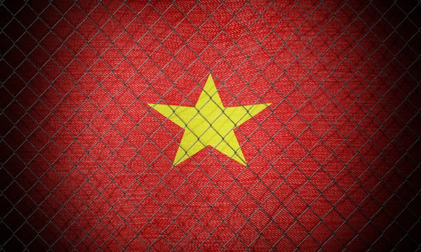 Vietnam'da Azılı Dolandırıcı İş İnsanının Lüks Arabası ve Hermès Çantaları Açık Artırmayla Satıldı