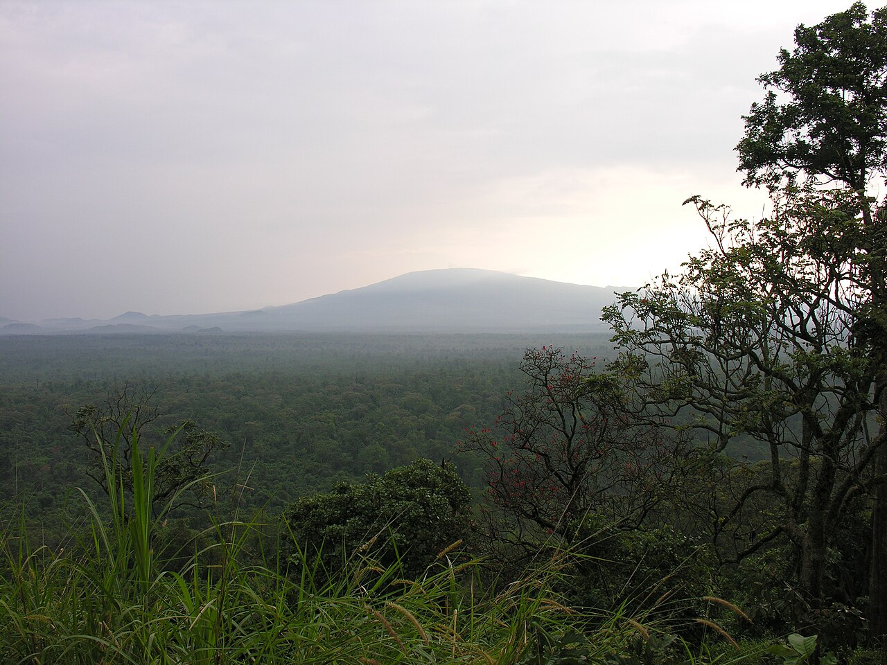 Virunga Ulusal Parkı'nda Ebola'ya Karşı Çifte Mücadele