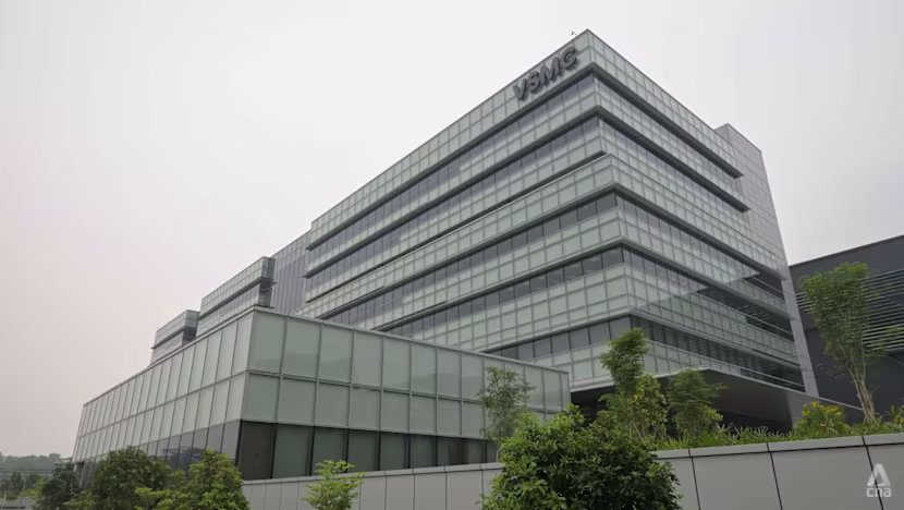 VSMC Singapur'da 8,5 Milyar Dolarlık İlk Fabrikasını Açtı