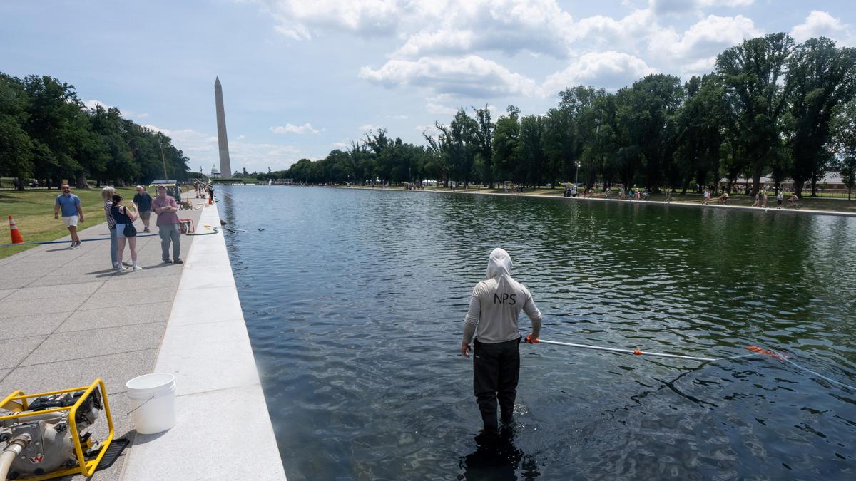 Washington Havuzundaki Vandalizme Tam Kovuşturma