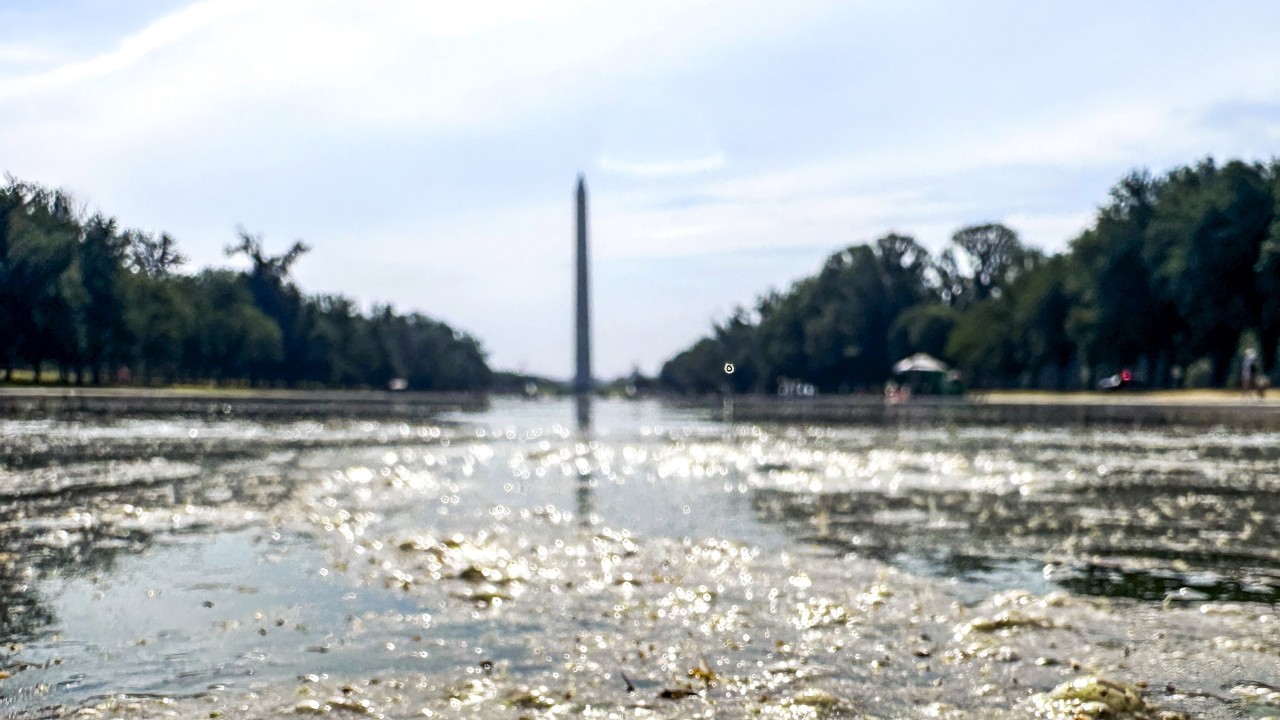 Washington'daki Tarihi Havuz 14.7 Milyon Dolarlık Restorasyonun Ardından Yosun Sorunuyla Karşı Karşıya