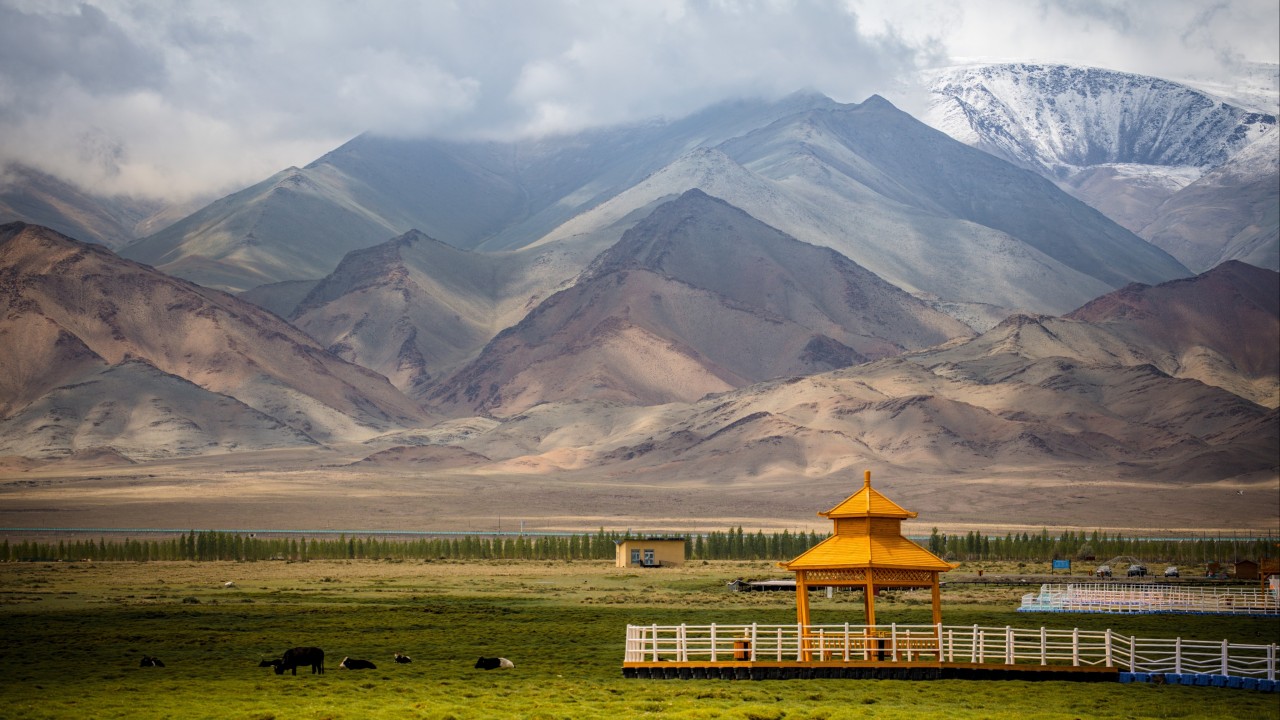 Xinjiang'ın en eski mezarlarında DNA'nın yarısı Sarı Nehir çiftçilerinden