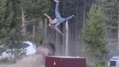 Yellowstone'da Bizon Grandfather'ı Metrelerce Havaya Fırlattı