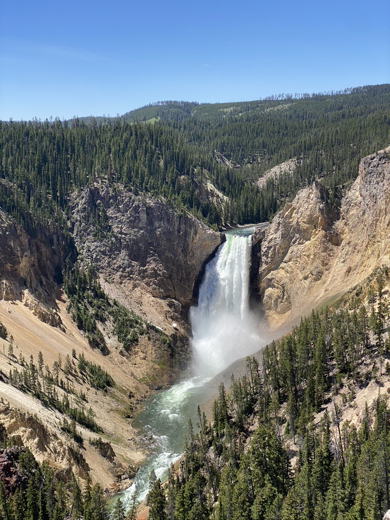 Yellowstone Kenarındaki Orman Kesim Projesi Yaban Hayatını Tehdit Ediyor