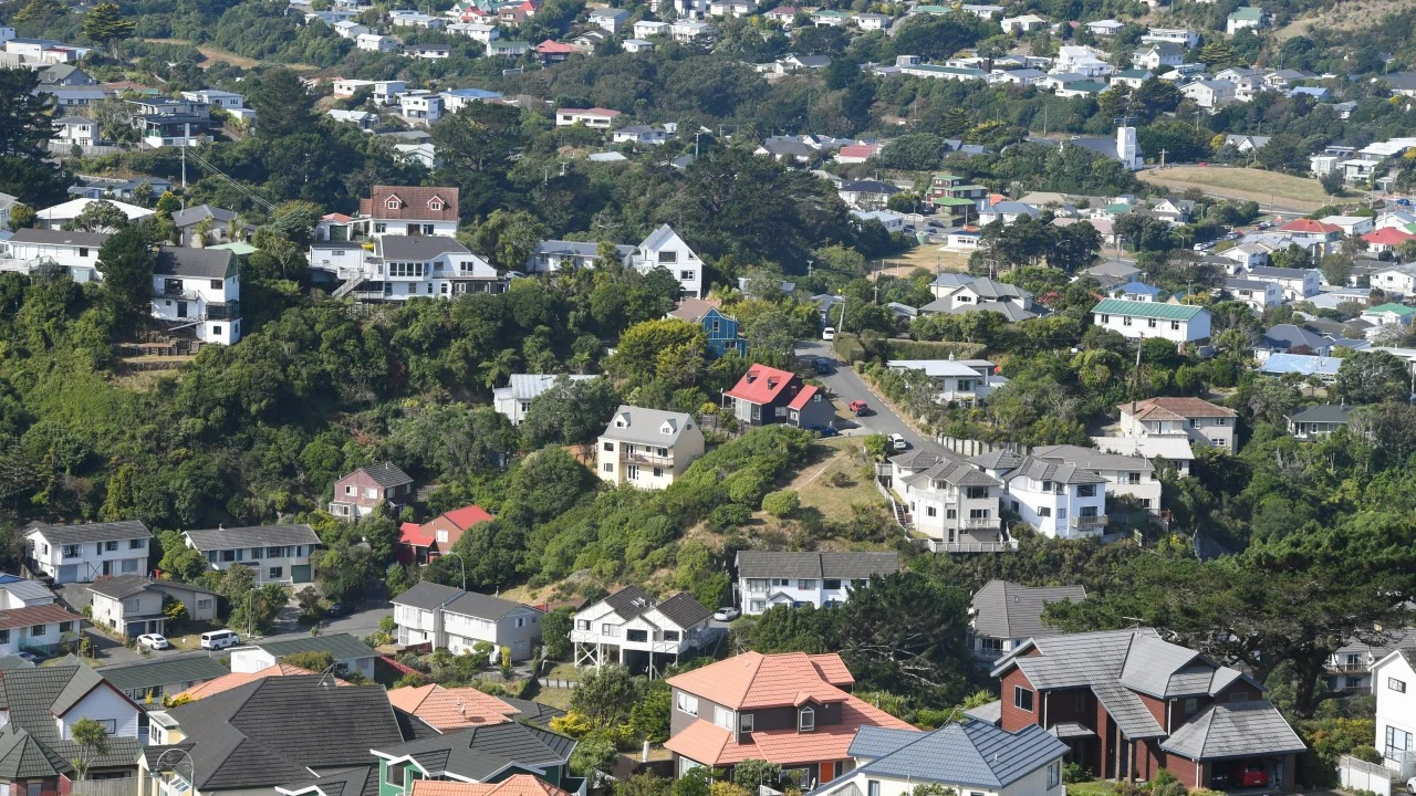 Wellington'da 'iğrenç' pislik: Fırtına kanalizasyon taşkınına yol açtı