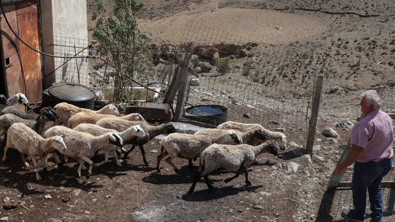 Yunanistan'da 4 Milletvekili Tarım Dolandırıcılığı Skandalında Suçlandı