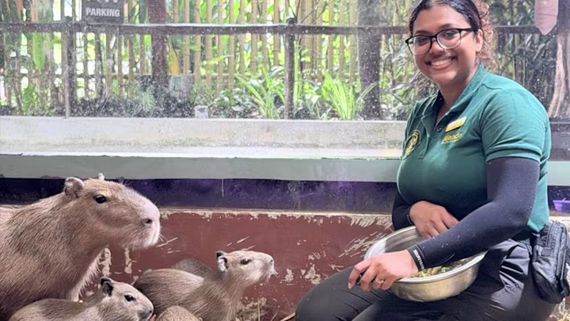 Zoo ailesinin üçüncü kuşağı: Rutraajni Gurusamy Kaunder